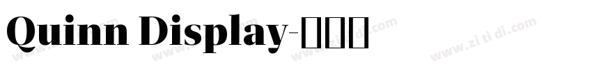 Quinn Display字体转换